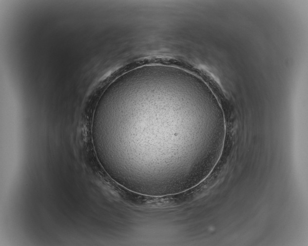 X0000115681159200911191048