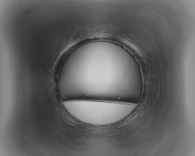 X0000115681160200911191048