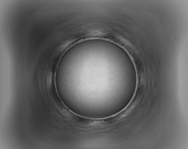 X0000115681161200911191048