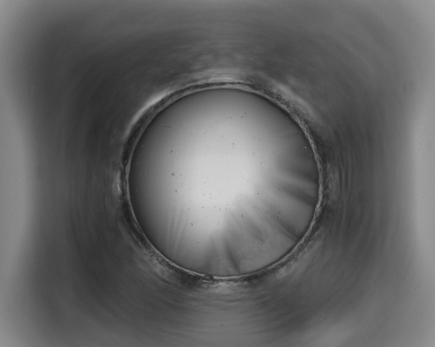 X0000115681166200911191048