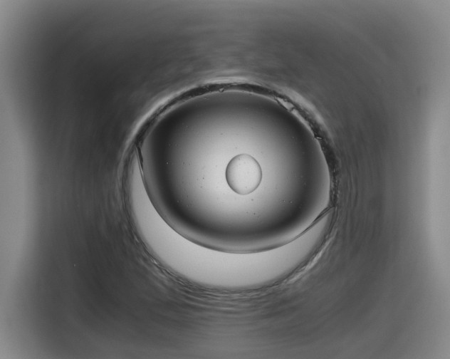 X0000115681167200911191048