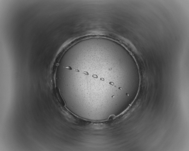 X0000115681168200911191048