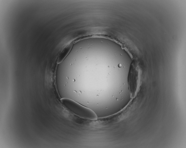 X0000115681169200911191048