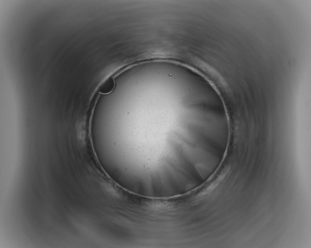 X0000115681170200911191048