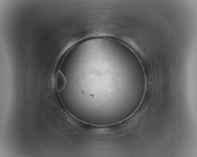 X0000115681173200911191048