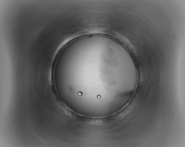 X0000115681174200911191048