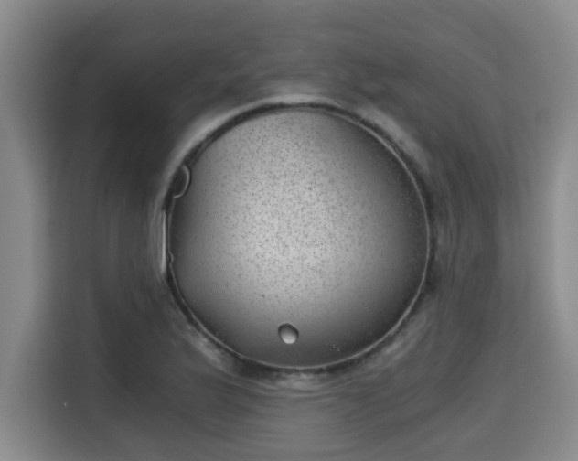 X0000115681175200911191048