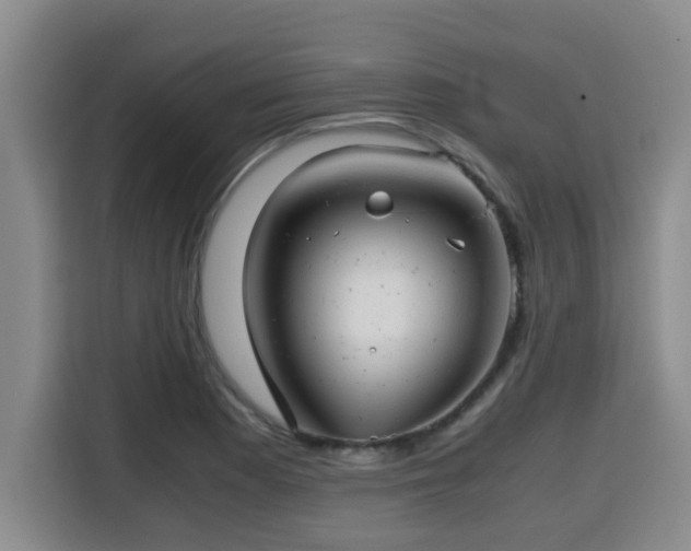 X0000115681177200911191048