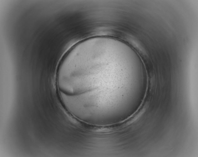 X0000115681178200911191048