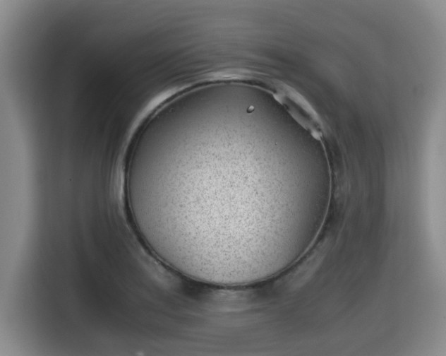 X0000115681179200911191048