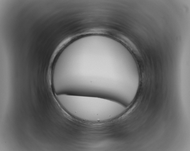 X0000115681180200911191048