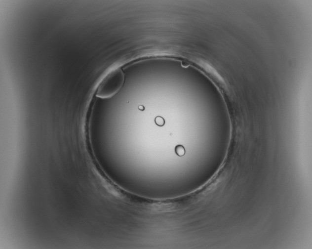 X0000115681181200911191048