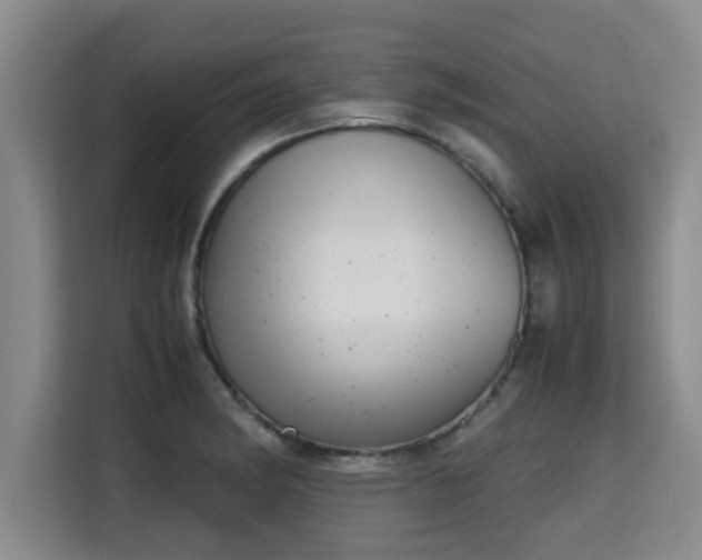 X0000115681182200911191048