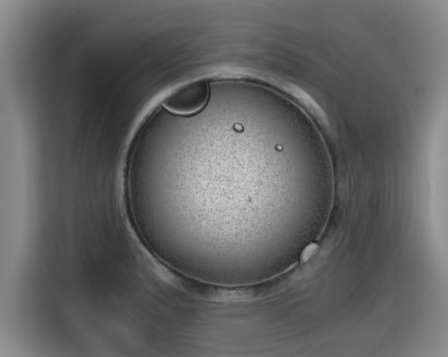 X0000115681183200911191048