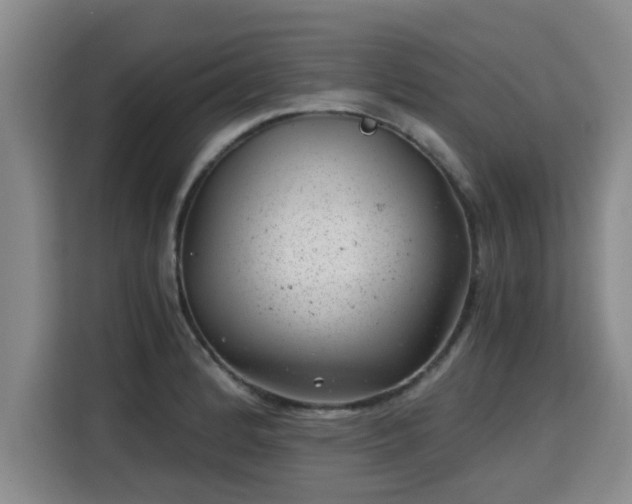 X0000115681184200911191048