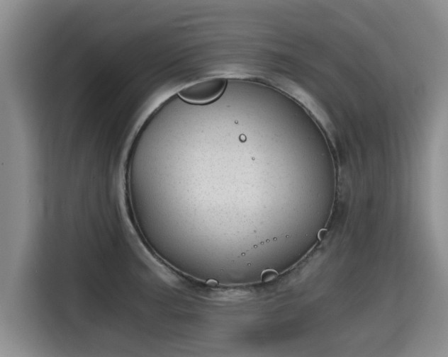 X0000115681187200911191048