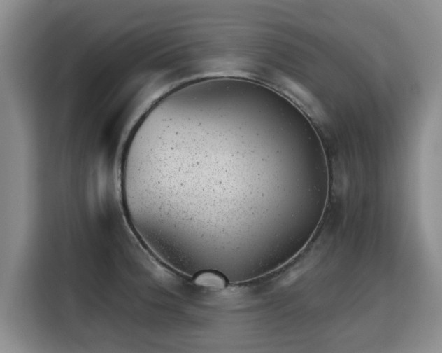 X0000115681188200911191048