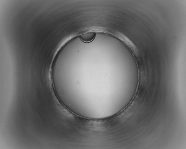 X0000115681190200911191048