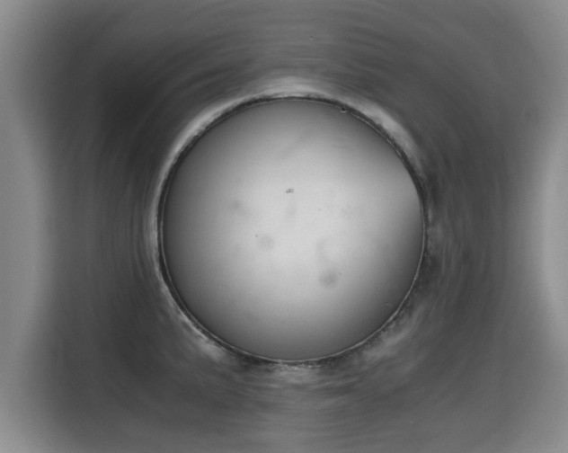 X0000115681191200911191048