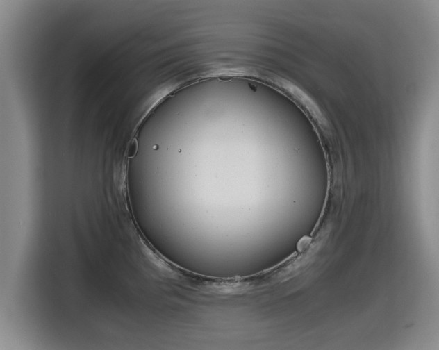 X0000115681193200911191047