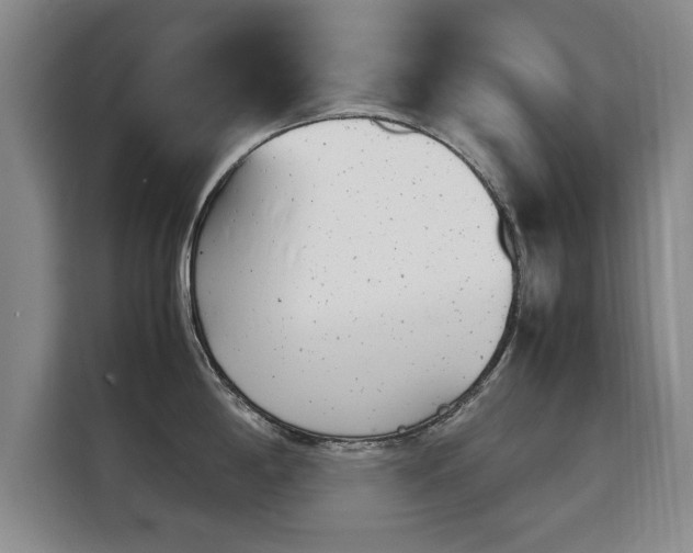 X0000115681198200911191047