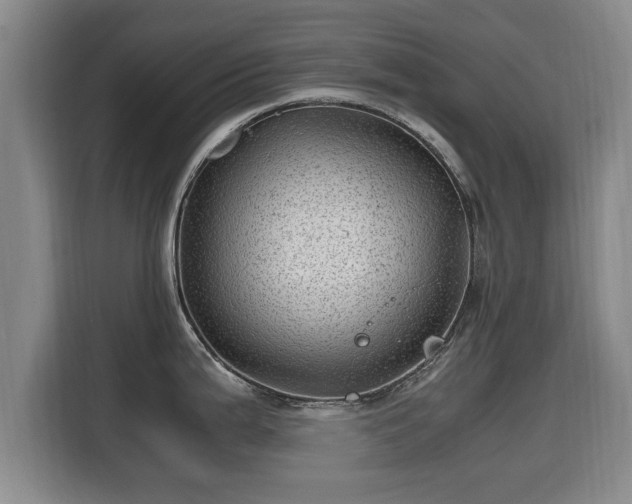 X0000115681199200911191047