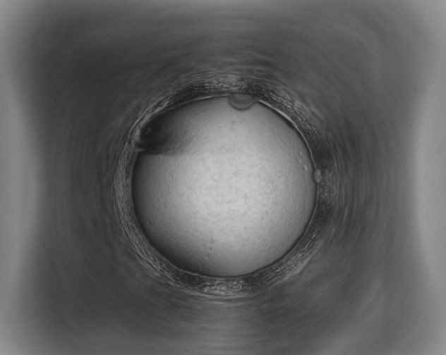 X0000115681201200911191047