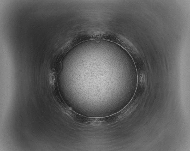 X0000115681204200911191047