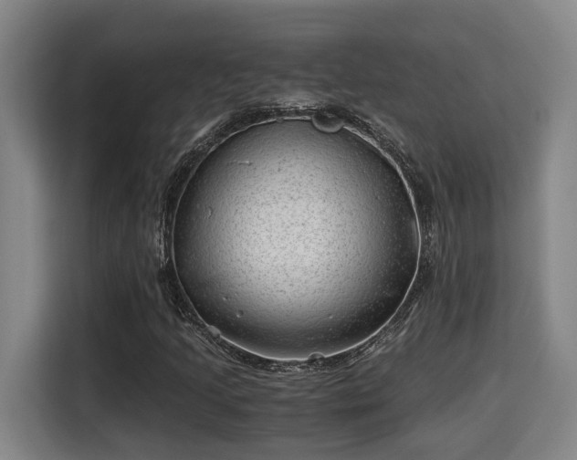 X0000115681205200911191047