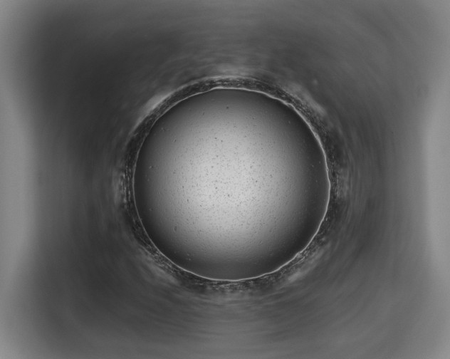 X0000115681208200911191047