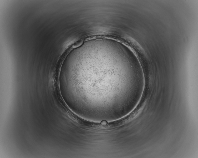 X0000115681210200911191047