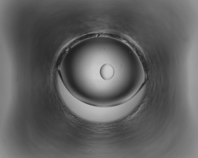 X0000115681215200911191047