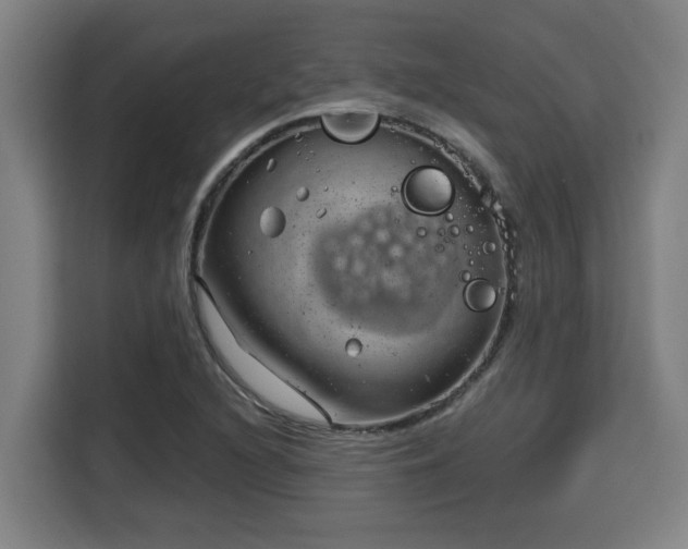 X0000115681216200911191047