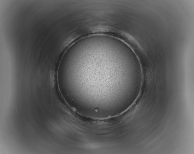 X0000115681217200911191047