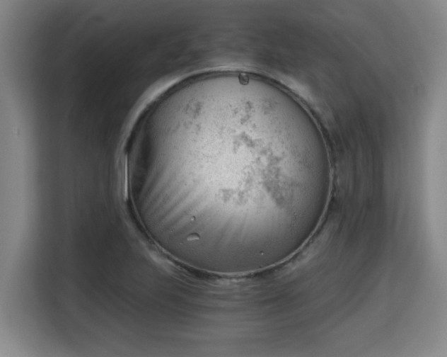 X0000115681223200911191047