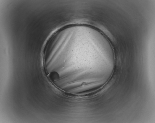 X0000115681224200911191047