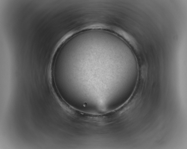 X0000115681229200911191047