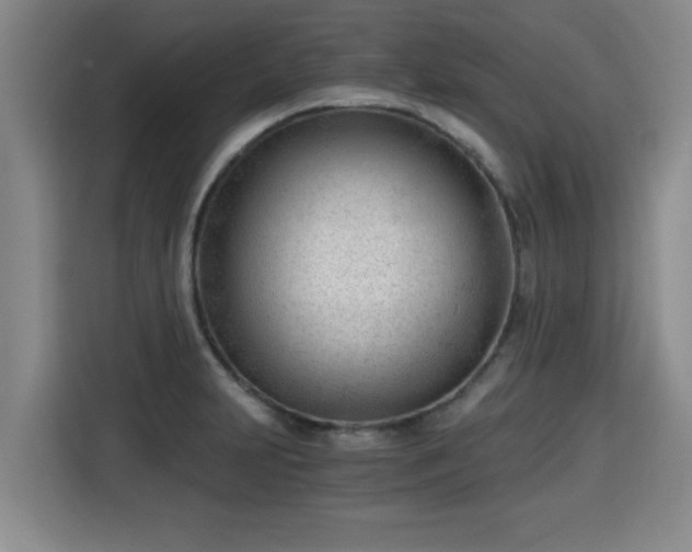 X0000115681231200911191047