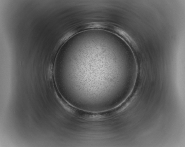 X0000115681233200911191047