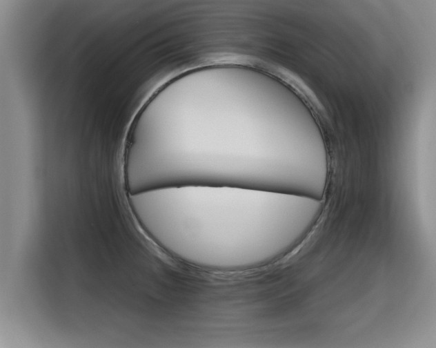 X0000115681236200911191047