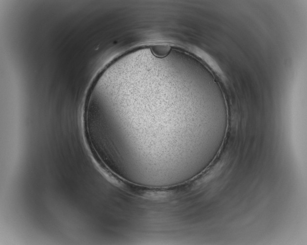 X0000115681237200911191047