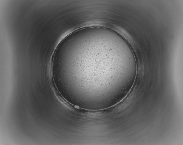 X0000115681242200911191047