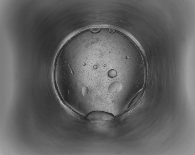 X0000115681245200911191047