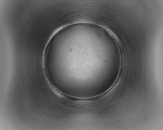 X0000115681246200911191047