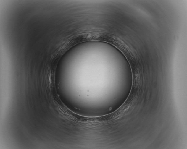 X0000115681250200911191047