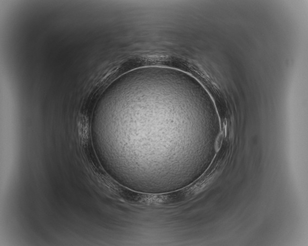 X0000115681251200911191047