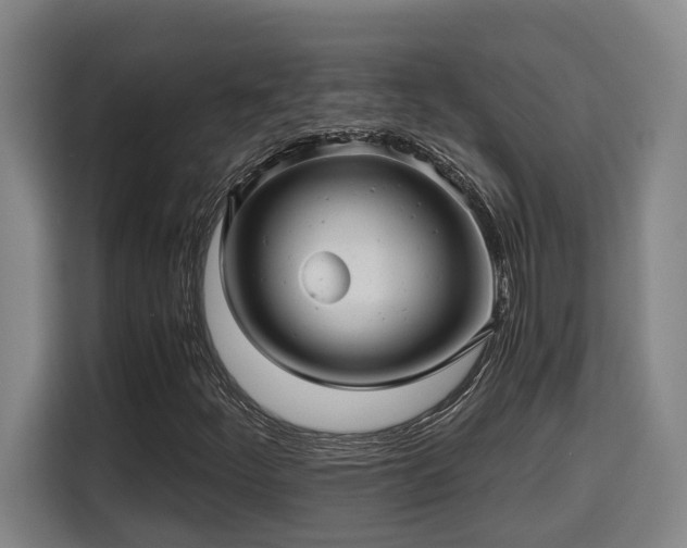 X0000115681252200911191047