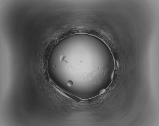 X0000115681253200911191047