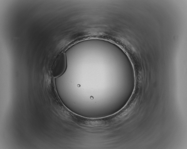 X0000115681257200911191047