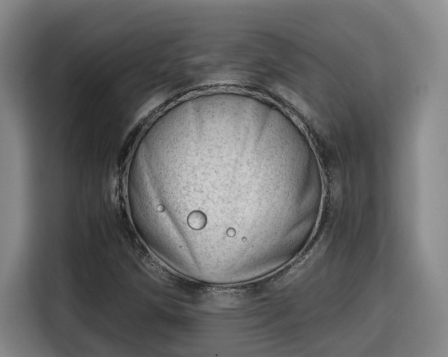 X0000115681258200911191047